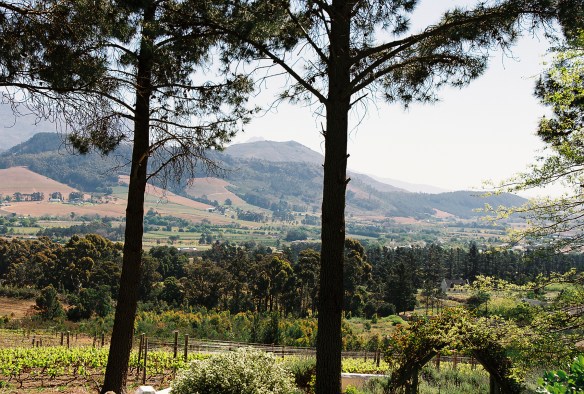 view from Waterford Estate