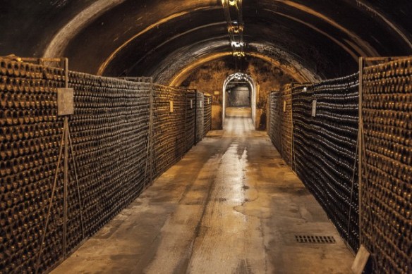 just part of what seemes like miles of Bollinger's underground cellars