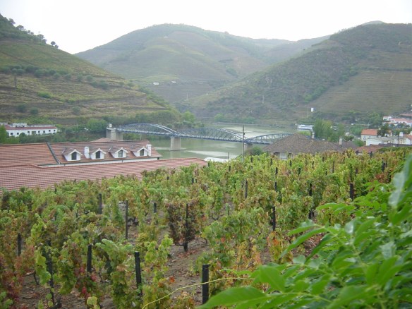 View from Quinta do Bomfim