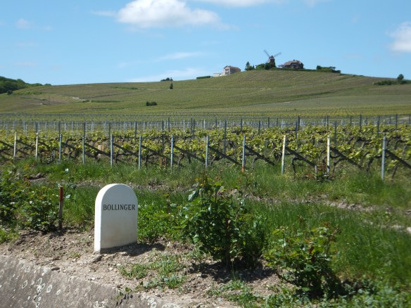 Bollinger marker near Vezernay (this stone markers designating the ownership of the vineyard are dotted throughout the countryside)