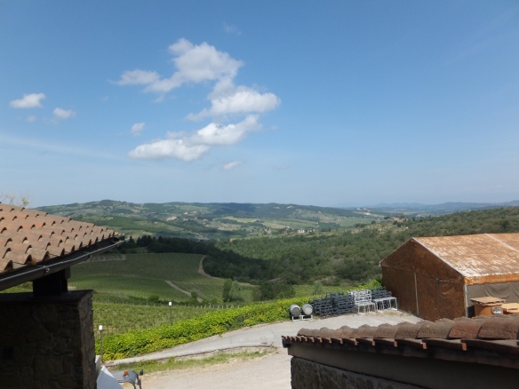 looking out at the vineyards from the Querciabella winery