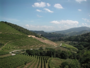 overlooking the vineyards of Talai Berri
