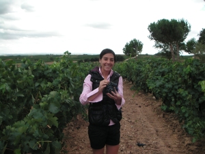 Pilar in the vineyards