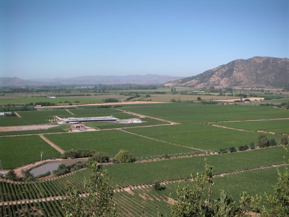 view of the Montes winery and vineyards from the mirador