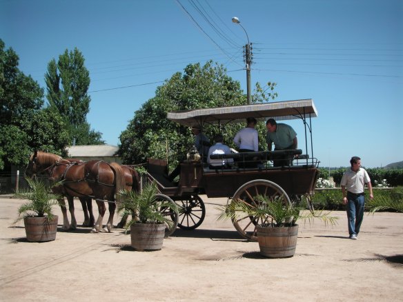 we're off to tour the vineyards by horse drawn carriage
