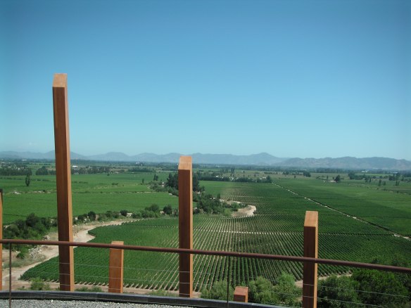 the view from the Casa Lopostole winery
