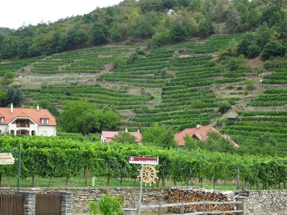 a heuriger across from Weingut Johann Donabaum - the staw wheel means the heuriger is open