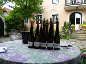 the white wines we tasted at Pichler-Krutzler